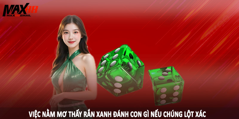 Việc nằm mơ thấy rắn xanh đánh con gì nếu chúng lột xác
