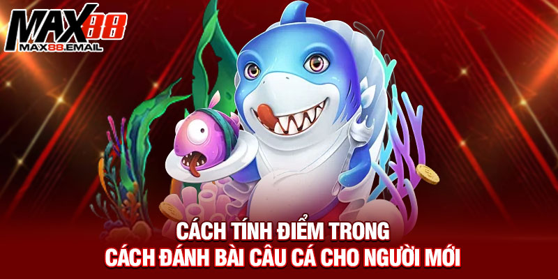 Cách Đánh Bài Câu Cá - Bí Mật Ít Ai Biết Để Trở Thành Cao Thủ